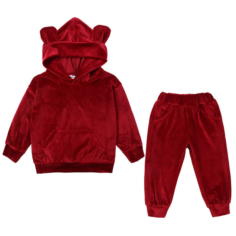Children Clothing Sets Spring Autumn baby Boys Girls Clothing Sets Fashion Hoodie+pants 2 Pcs suits 2019 1-6 years kids clothes - Meyar